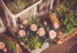 美丽和快乐的短语2