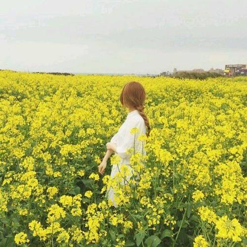 使秋天快乐的句子1