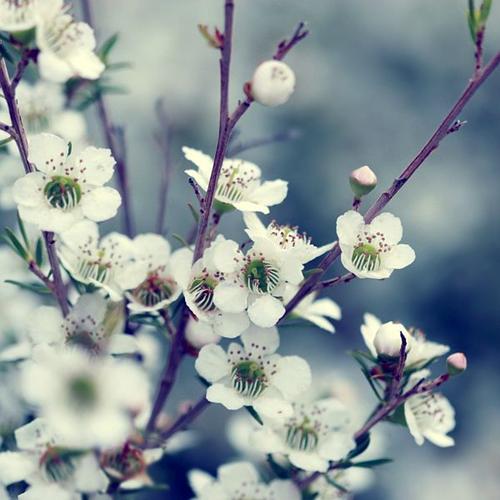 美丽和快乐的短语1