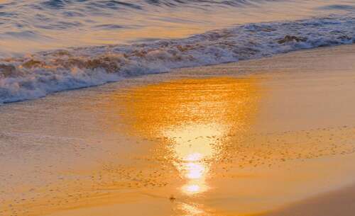 在海滩上玩耍的儿童的句子2