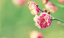 一件让人开心的句子