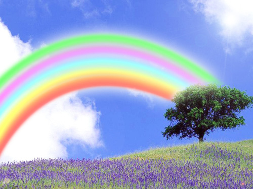 关于爱情的审美句子