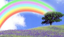 对爱情感悟的唯美句子