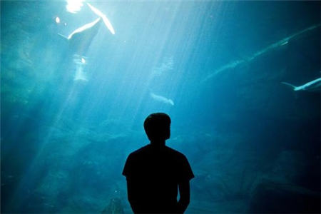 男孩祝你句快乐