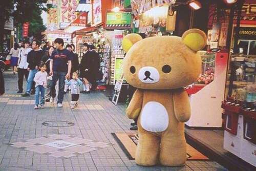 同学聚会后的快乐句子