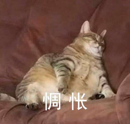 沙雕女孩1的可爱文案