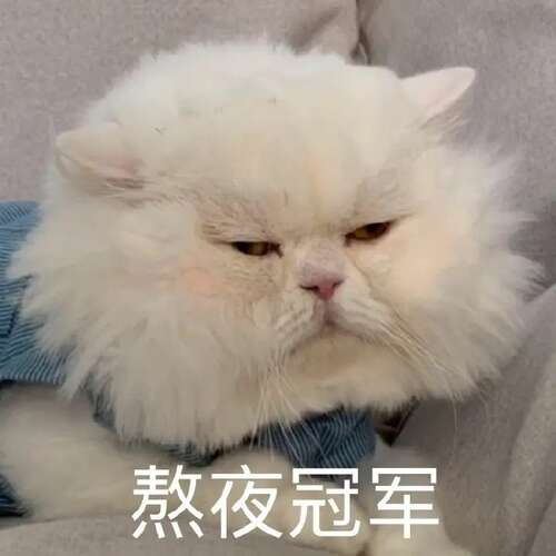 沙雕女孩的可爱文案