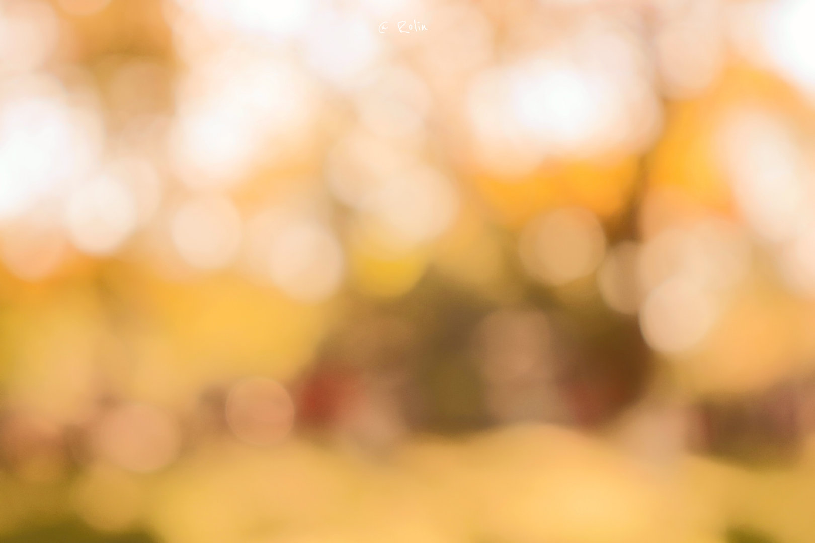 感到无助而又强烈的歌词