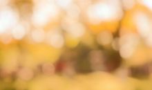 感到无助却又坚强的抒情句子