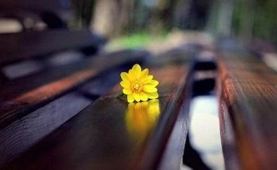 美丽而快乐的句子1