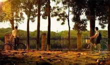 最新幸福的句子