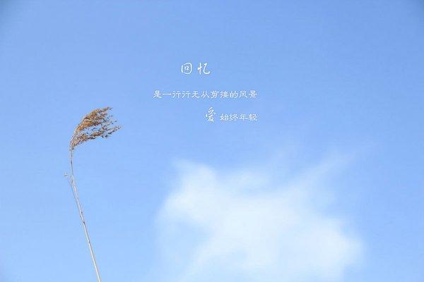 使人开心的美丽句子1