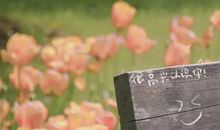 朋友圈精辟语录唯美句子