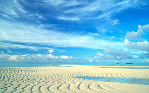 描写爱情的感伤句子