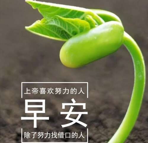 早上好最霸气的一句话2