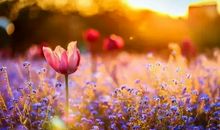 2021百看不厌的朋友圈文案