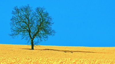 悲伤的爱情短语2