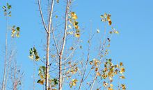 12月早安语录发朋友圈