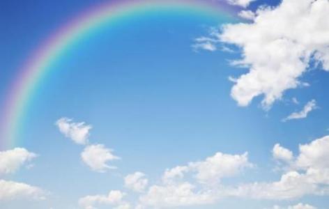 关于彩虹小姐1的句子