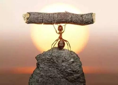 内心思想强烈的句子1