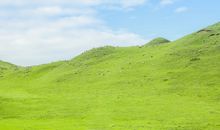 小朋友放风筝开心的句子