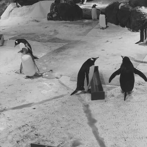 好心情开心句子2