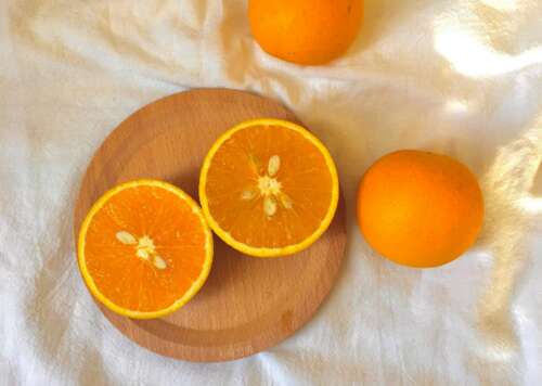 网易云最伤心的一句话