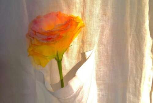 网易云最伤心的一句话