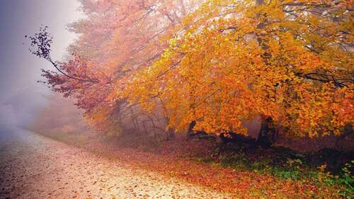 简短的爱情句子