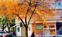 祝福旅途开心的句子