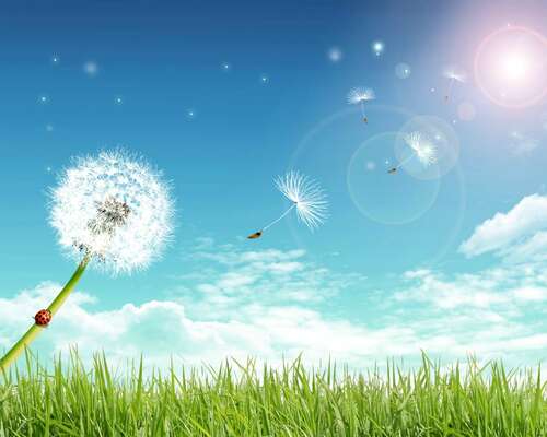 给女友的爱情句子