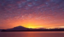 求婚女朋友的爱情句子