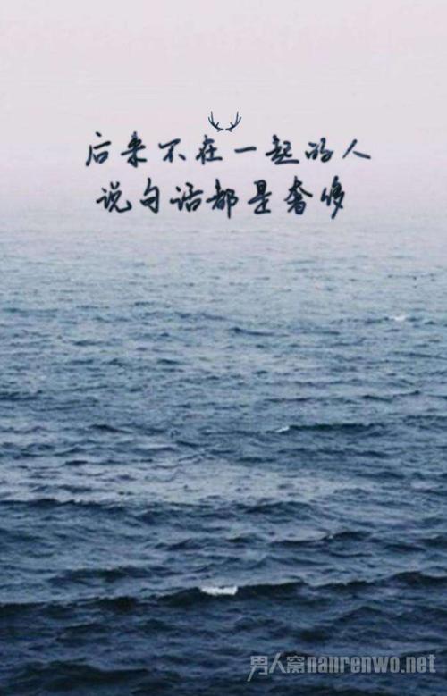 一首描述爱与失望的诗