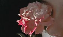 成为第一名的感悟