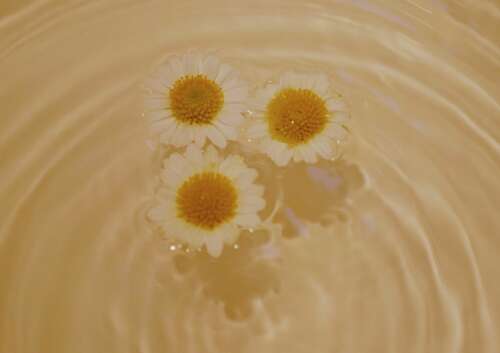 2021年新年贺词短片2