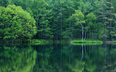 关于爱情的美丽句子2