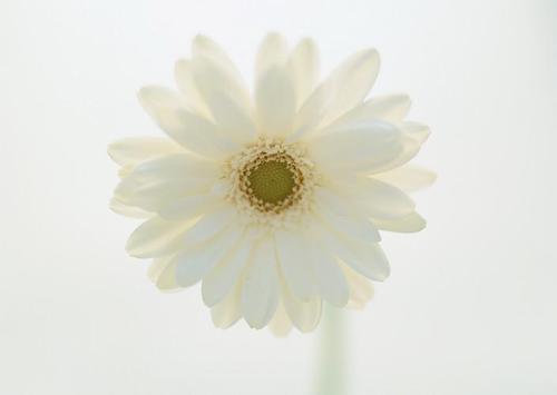 KTV喝酒和快乐句子2