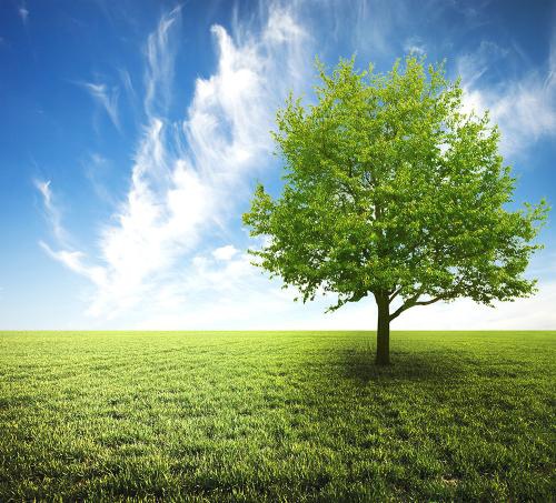 赞美美丽女人快乐的句子1