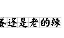 形容经验丰富的谚语