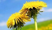 发朋友圈的最新唯美句子