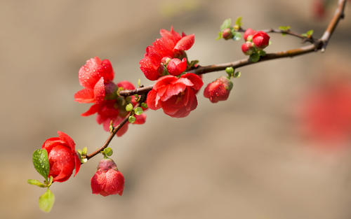 童年快乐的句子1