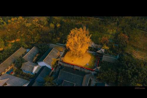 因为你我无法幸福