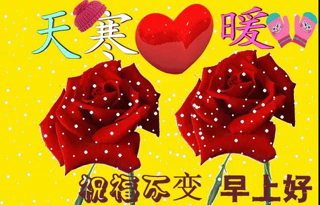 感冒和关怀词短语1