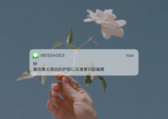 关于偏好的美感和温柔的句子