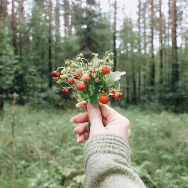 父母的留言15个字2