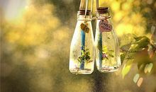 关于感情无奈的句子