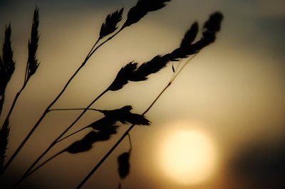 关于感情的悲伤句子