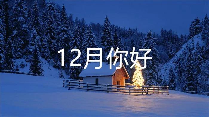 如何在12月2日的第一天发布到Moments