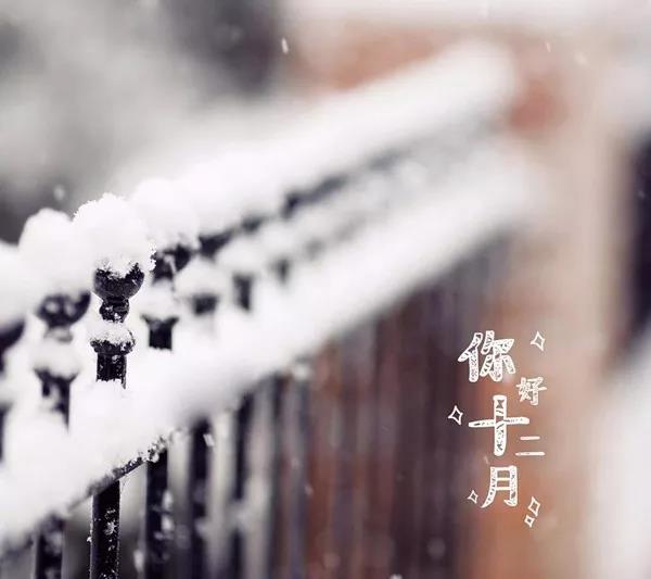 12月第一天的问候