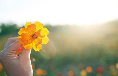 美丽的英语句子1